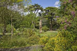 garden1.jpg