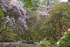 garden6.jpg