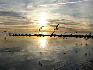 sunsetriver.jpg